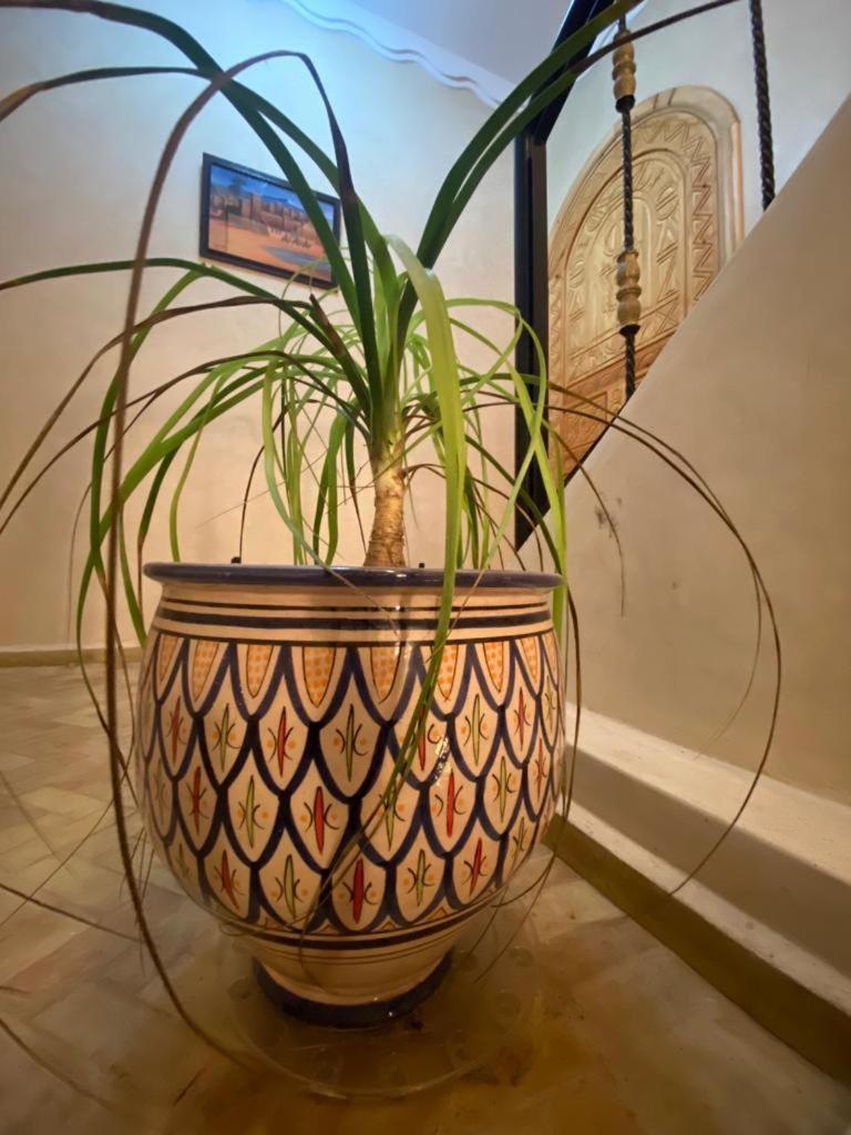 Dar Diafa Samira Appartement Mirleft Buitenkant foto
